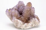Sparkly, Cactus Quartz (Amethyst) Crystals - South Africa #206198-1